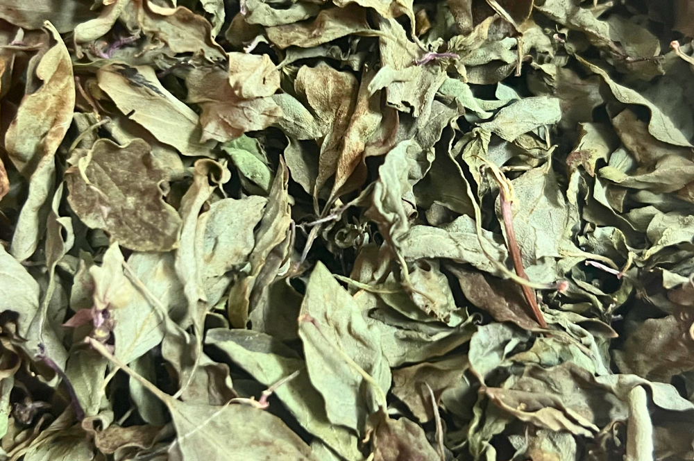 Tisane Basilic Thai artisanale fabriquer à partir de Produits bio et organic Martinique