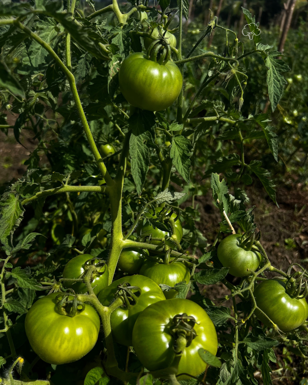 Ade05651 A9f8 476b 8771 9cfa884ec927