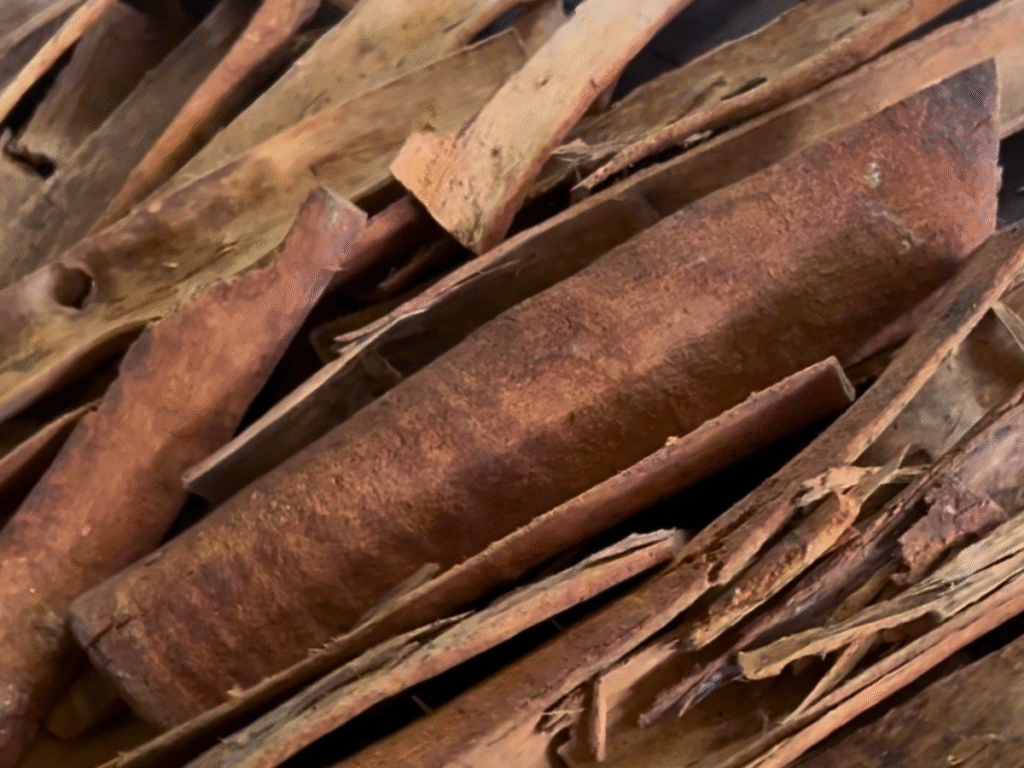 Écorce de Cannelle Bio